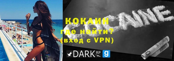 гидра Абаза