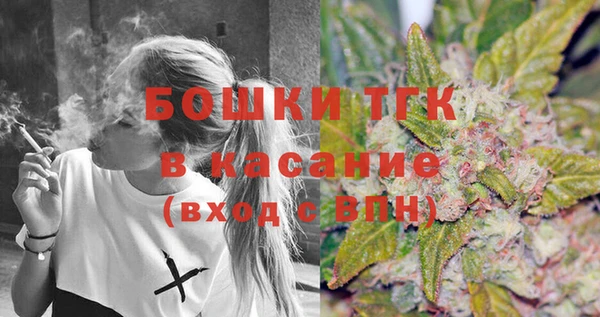 гидра Абаза