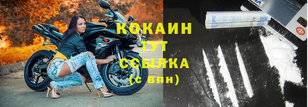 таблы Новозыбков