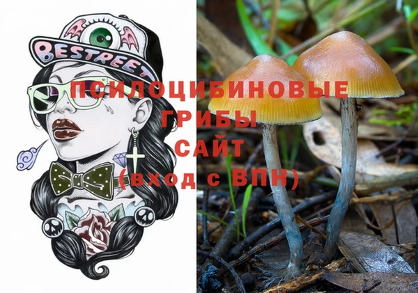 спиды Абдулино