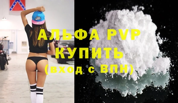 гидра Абаза