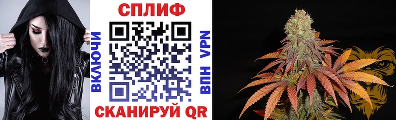 Канабис индика  Энгельс 